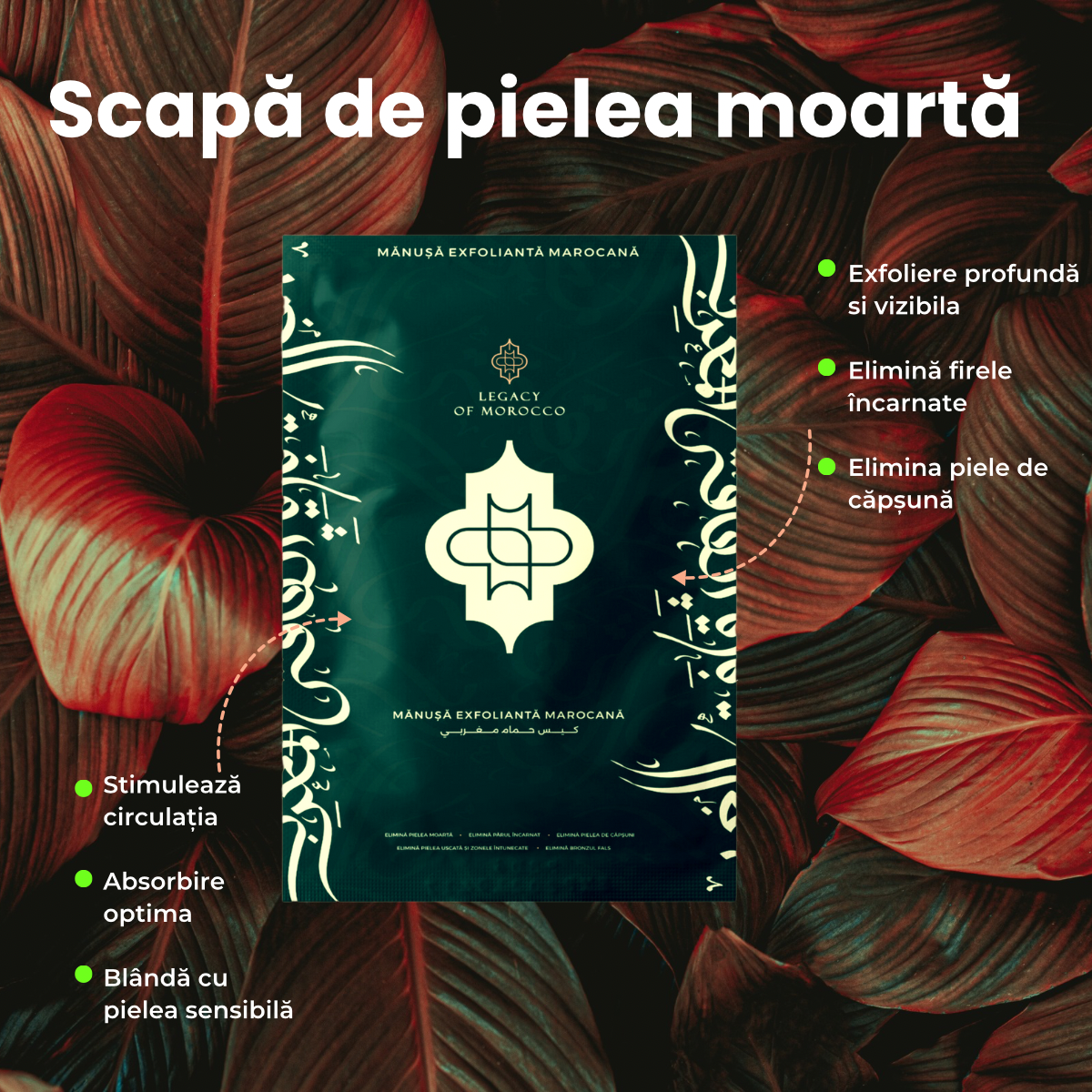 Manusa Exfolianta Marocana